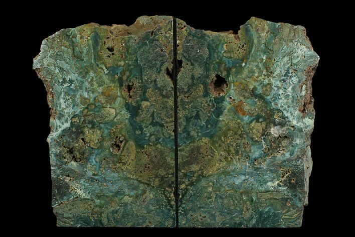Green Jasper Replaced Petrified Wood Bookends - Oregon #162874